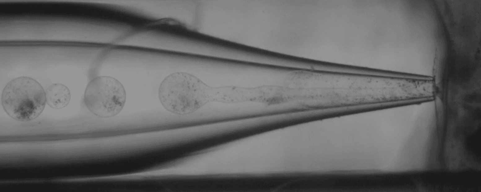 Imagem provisória da aplicação Microfluídica e biomédica